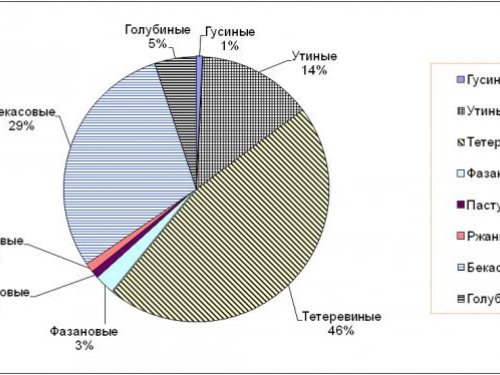 Каких птиц добывают охотники Красноярского края?