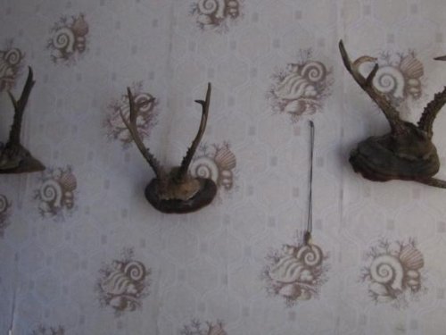 Мои трофеи.
