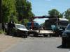 В Ленобласти лось стал причиной крупного ДТП