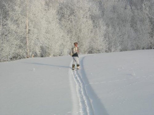 -26