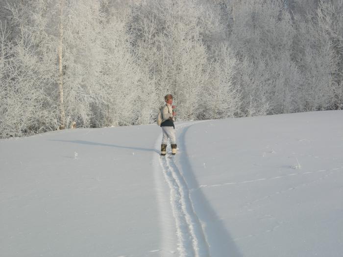 -26