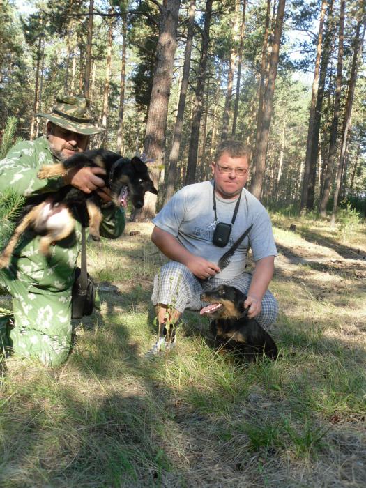 На утренней прогулке.