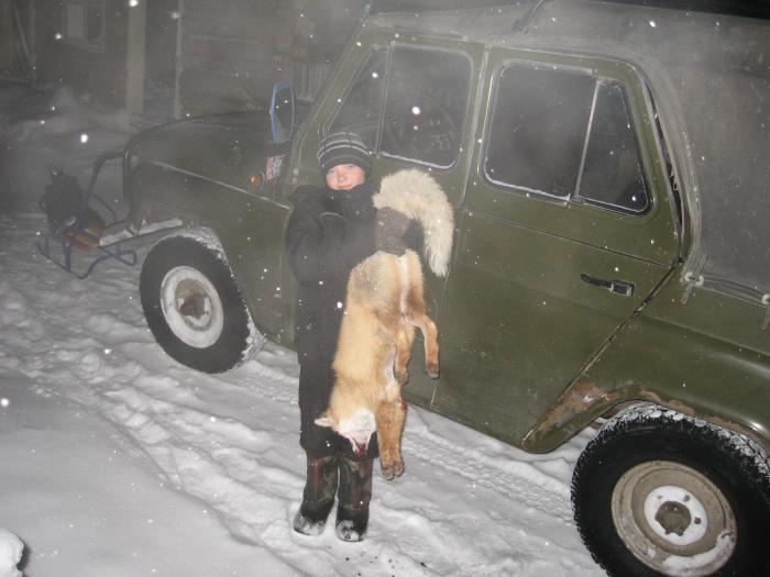 хороший воротник будет