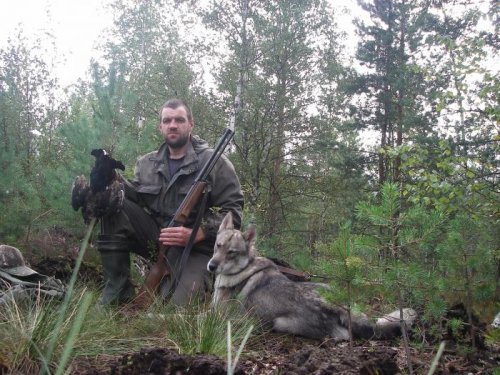 Молодой черныш.