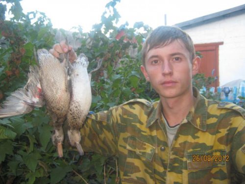 После воскресной охоты