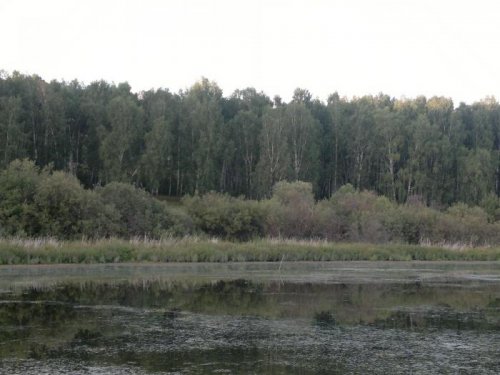 полетели