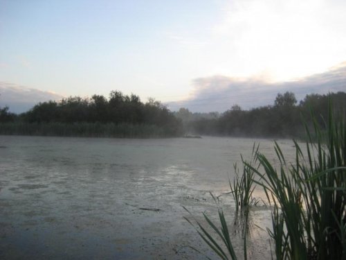 Осенний призыв подсадной.