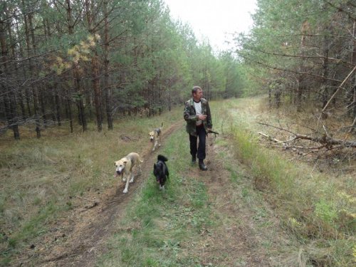 15 09 2012, открытие,