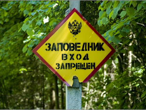 Один за всех и Все на одного