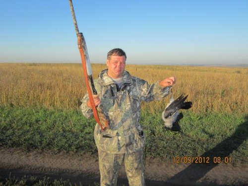 бей ворон 