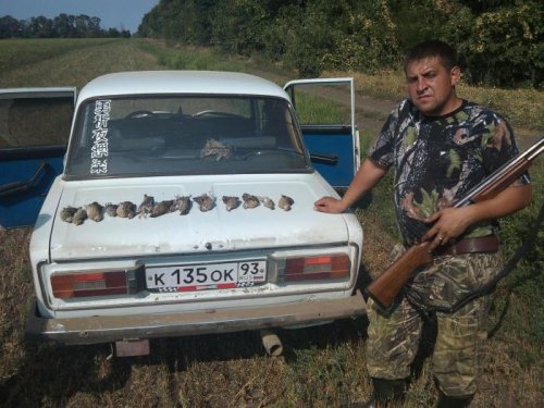 удачный день
