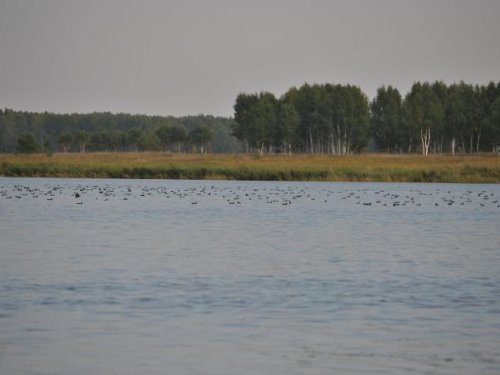 Дары осени.