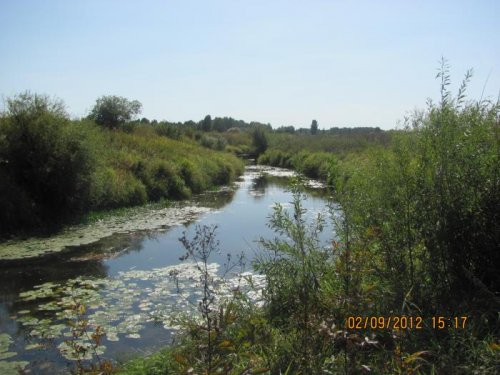 река Шегарка