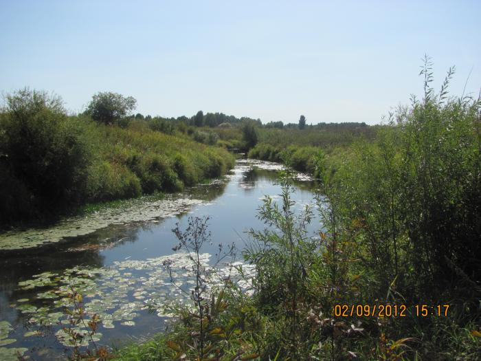река Шегарка