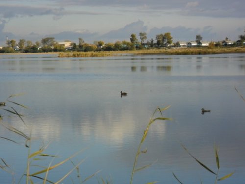 Вечер. Утки. Тишина... (22.09.12)