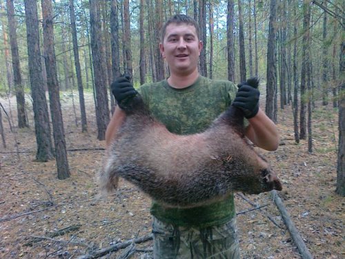 Первый в этом году.