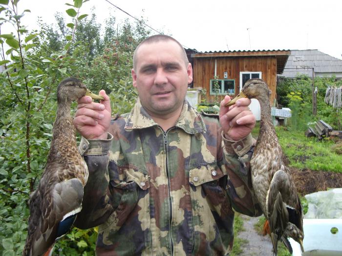 Парочка))).