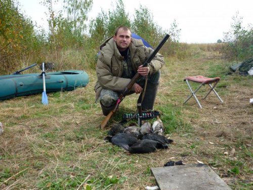Зорька.......