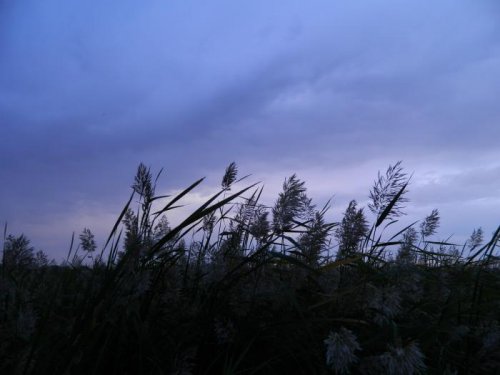 Открытие 2012.