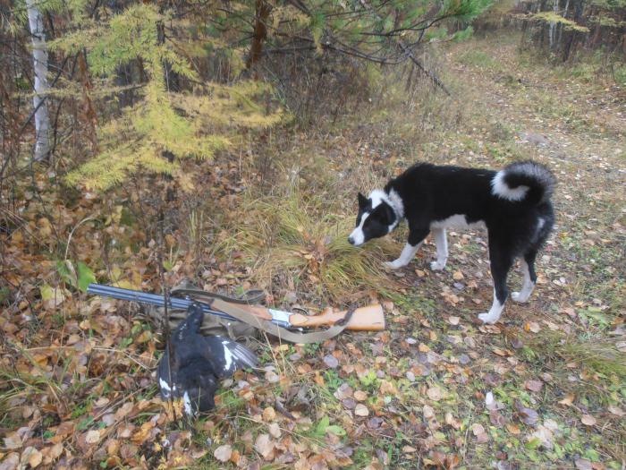 Первое знакомство с дичью.