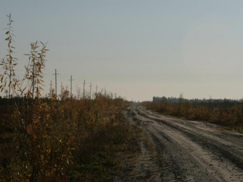 нефтеюганский район