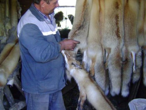 Заказчик пришел проверить работу....Доволен!