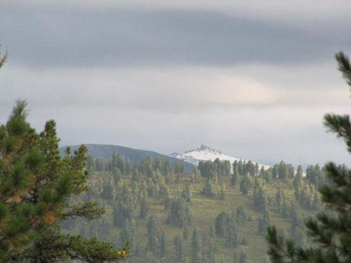Вершинка в снегу