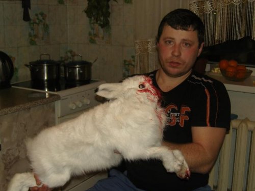Закрытие охоты. 