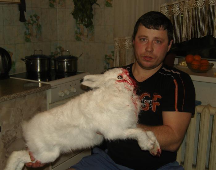 Закрытие охоты. 