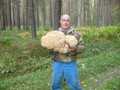 Трофей  тихой охоты.