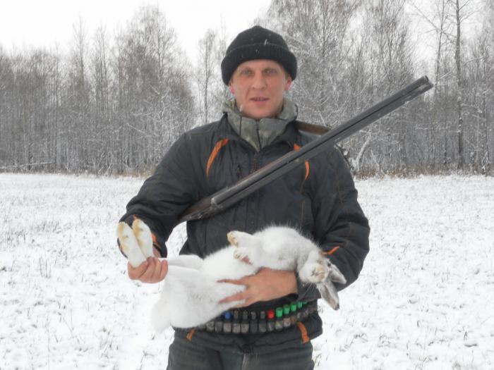 По свежему снегу
