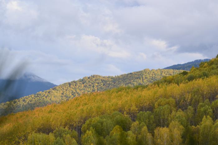 Осень.