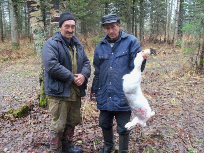 охота в золотой тайге.