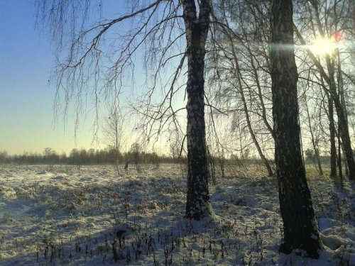 Поздняя осень