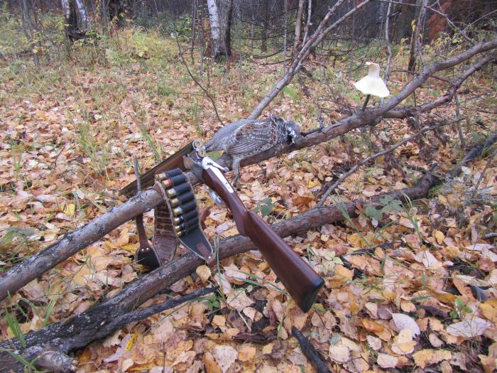 *рябчик*