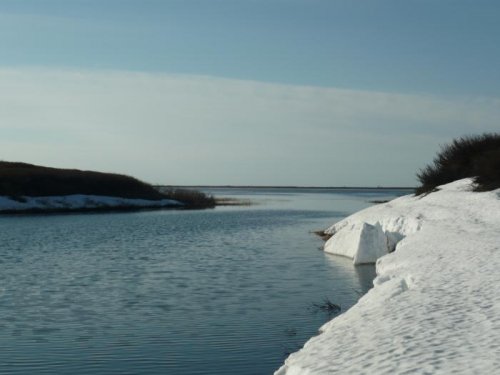 Ямал, лето 2012  