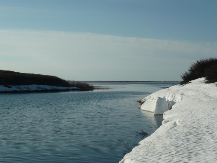 Ямал, лето 2012  