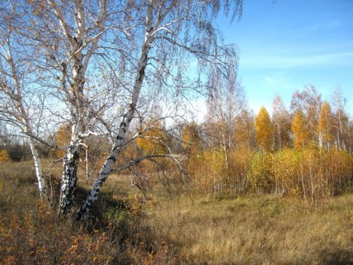 Осень золотая.