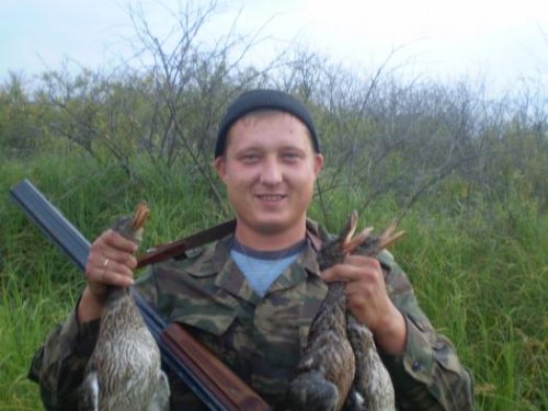 2010год открытие