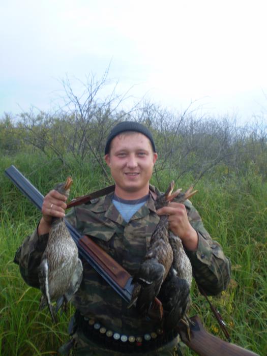 2010год открытие