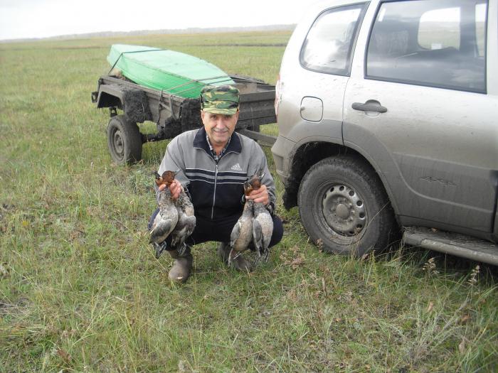 Красноголовики