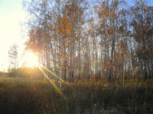 Луч солнца золотого... (С)