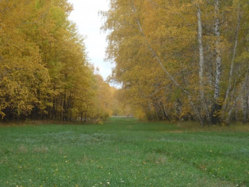 Осень