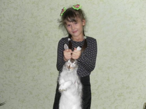 Дождалась