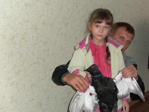 приехали с леса удачно