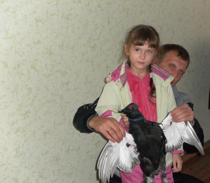 приехали с леса удачно