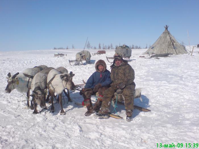 Остановка у аборигенов ...