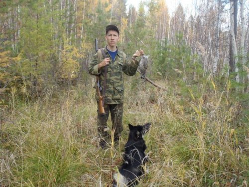 Рябчик на манок
