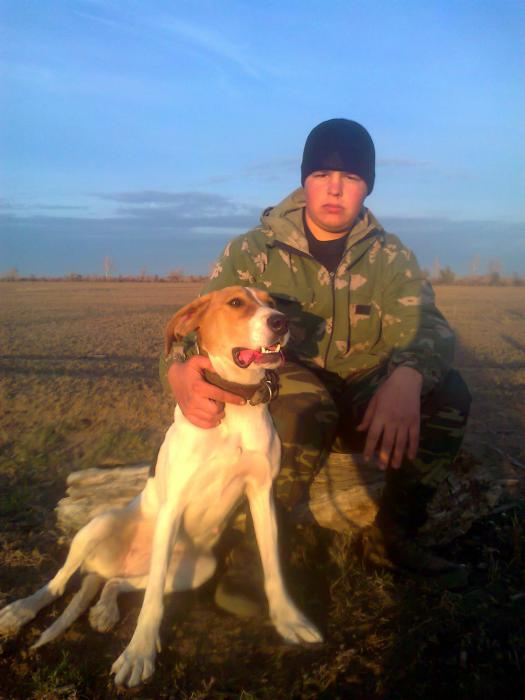 с моей даной на привале