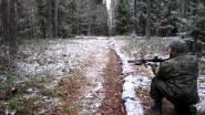 Тема про стрельбу и кабанов